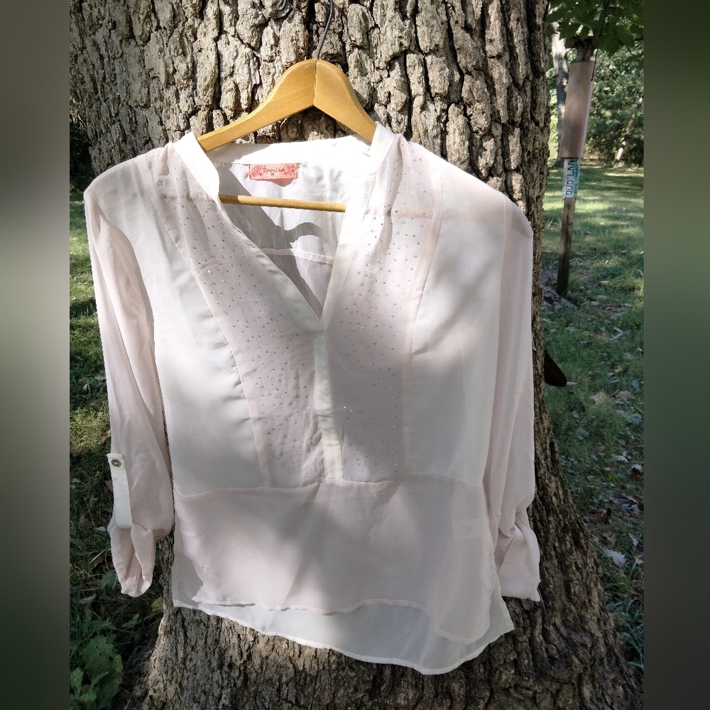 Spoiled Sheer Rhinestone Blouse in size M